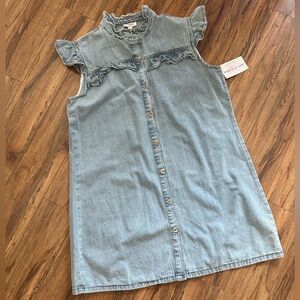 Denim Ruffle Sleeve Button Down Dress